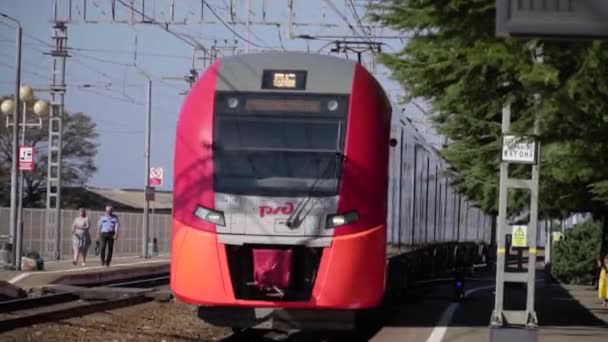 Der Zug kommt am Bahnhof an — Stockvideo