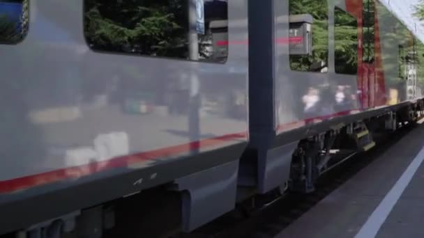 De trein aankomt op het station — Stockvideo