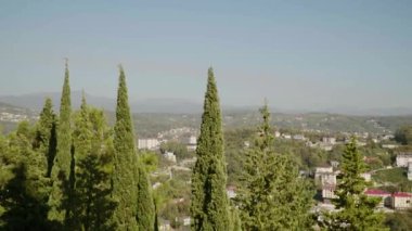 Rusya, Sochi Arboretum şehir