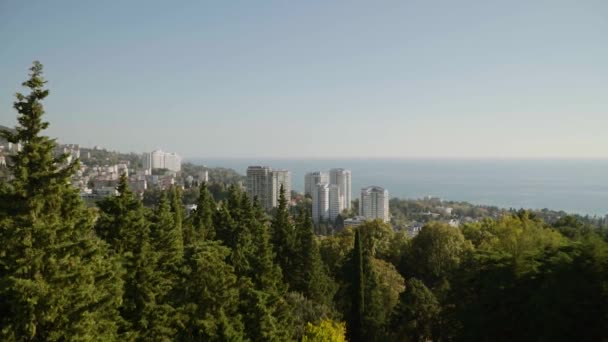 Rusia, la ciudad de Sochi Arboretum — Vídeos de Stock