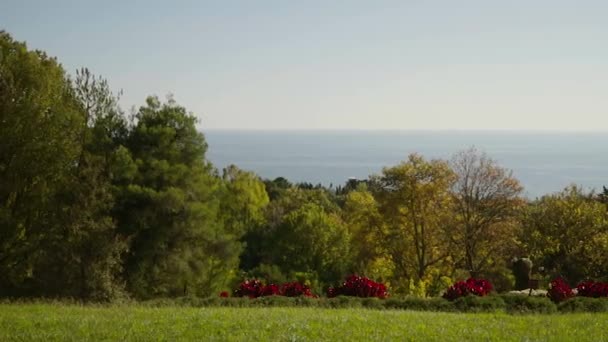 Rusia, la ciudad de Sochi Arboretum — Vídeos de Stock