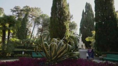 Rusya, Sochi şehir, Botanik Bahçesi