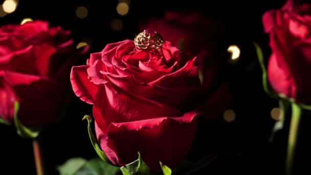 Anel de ouro e rosas em um fundo preto. Dia dos Namorados — Vídeo de Stock