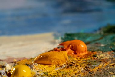 Çok eski bir palet üzerinde yağlıboya sanat. yakın çekim