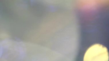 Renkli daireler yanıp sönen bulanık arka plan