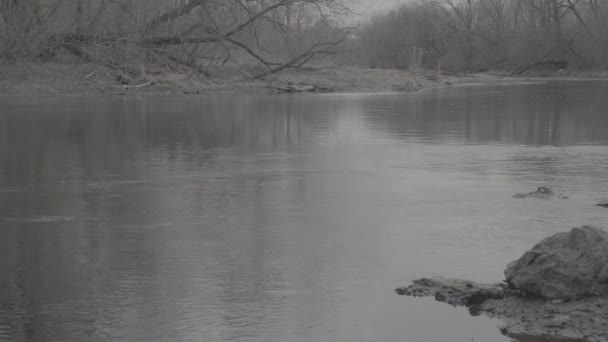 Odbicie nieba i drzew w rzece. Płaski profil obrazu Slog 3 — Wideo stockowe