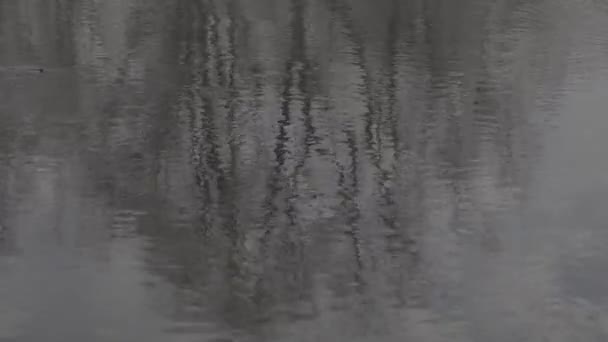 Reflexão do céu e árvores no rio. Perfil de imagem plana Slog 3 — Vídeo de Stock