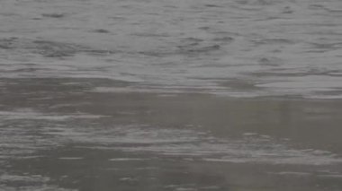 Gökyüzünün ve nehirdeki ağaçların yansıması. Düz görüntü profili Slog 3