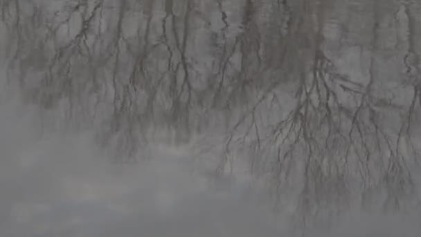 Reflectie van de hemel en bomen in de rivier. Plat beeld profiel slog 3 — Stockvideo