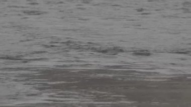 Gökyüzünün ve nehirdeki ağaçların yansıması. Düz görüntü profili Slog 3