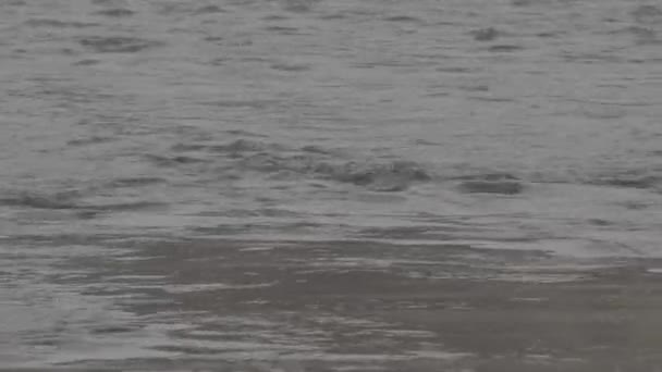 Reflet du ciel et des arbres dans la rivière. Profil d'image plat Slog 3 