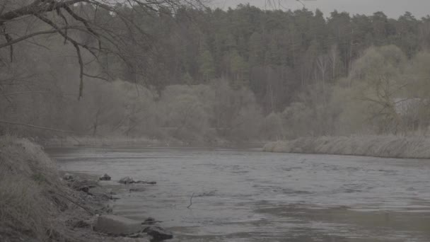 Spiegelung des Himmels und der Bäume im Fluss. flaches Bildprofil Slog 3 — Stockvideo