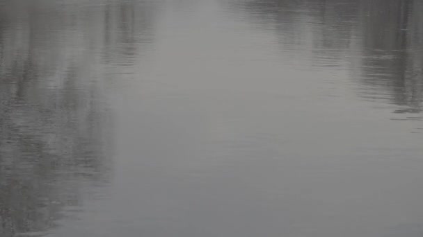 Reflexão do céu e árvores no rio. Perfil de imagem plana Slog 3 — Vídeo de Stock