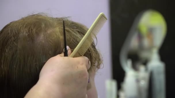 Um jovem corta cabelo numa barbearia. Fechar — Vídeo de Stock