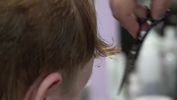 Un jeune homme coupe des cheveux dans un salon de coiffure. Gros plan — Video