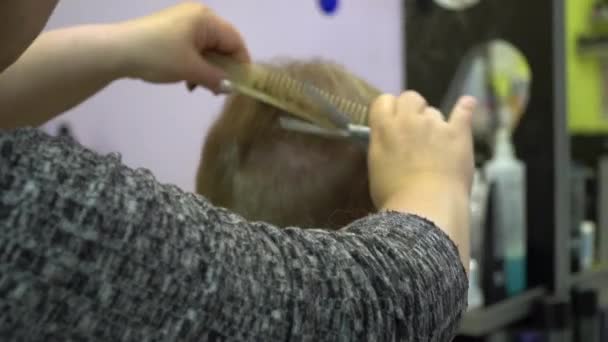 Um jovem corta cabelo numa barbearia. Fechar — Vídeo de Stock