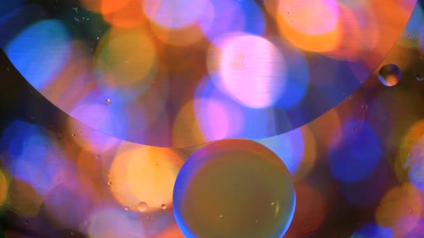 Olie cirkels in water op een gekleurde achtergrond — Stockvideo