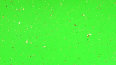 Küçük parçacıklar renkli bir arka plan üzerinde rasgele hareket.