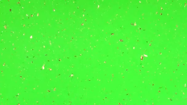 Pequeñas partículas se mueven al azar sobre un fondo de color . — Vídeos de Stock