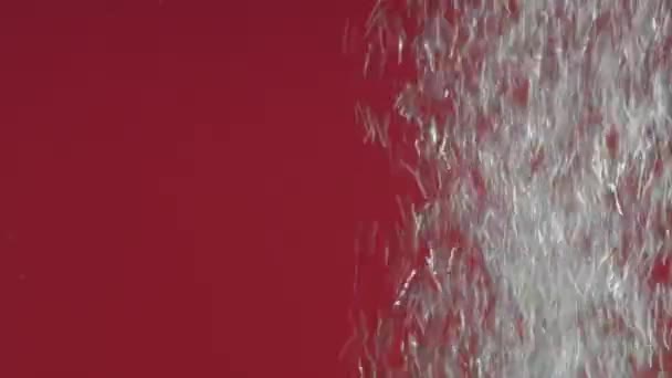 Luftbubblor i vattnet på en färgad bakgrund — Stockvideo