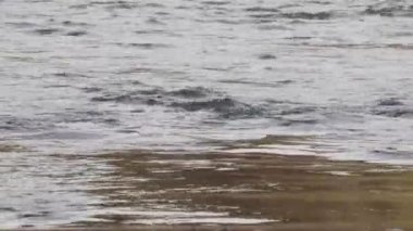 Gökyüzünün ve nehirdeki ağaçların yansıması