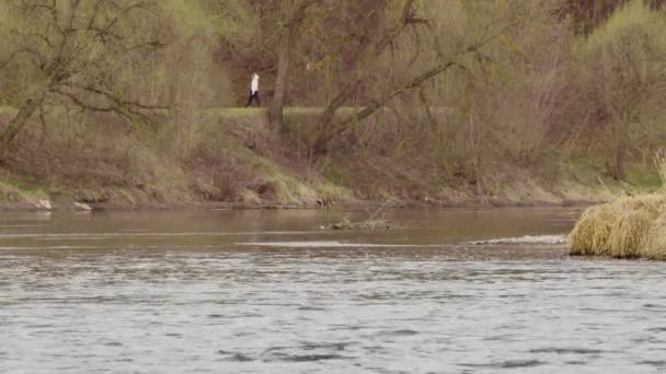 Riflessione del cielo e degli alberi nel fiume — Video Stock