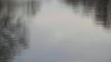 Gökyüzünün ve nehirdeki ağaçların yansıması