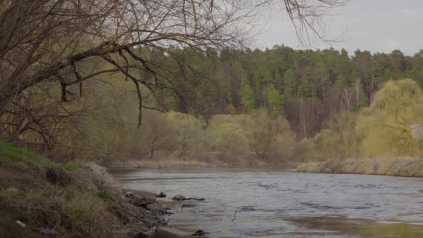 Reflektion av himlen och träd i floden — Stockvideo