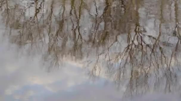 Reflectie van de hemel en bomen in de rivier — Stockvideo