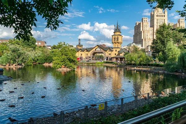 Güneşli bir yaz gününde hayvanat bahçesinde ördekler