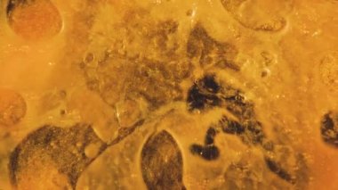 Altın hareketli soyut arka plan. Altın sıvı boyalar hareketli ve karıştırma