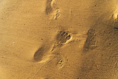 Bir adamın ayak izleri ile sahilde kum