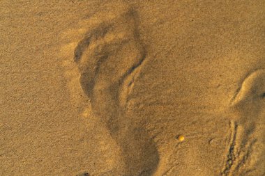 Bir adamın ayak izleri ile sahilde kum