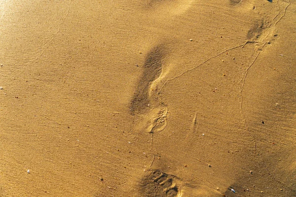 Areia na praia com pegadas de um homem — Fotografia de Stock
