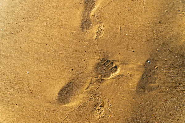 Homok a tengerparton lábnyomok egy férfi — Stock Fotó