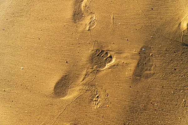 Bir adamın ayak izleri ile sahilde kum