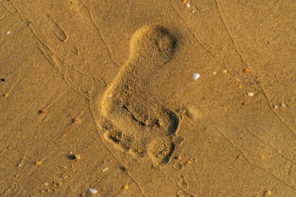 Песок на пляже с отпечатками человека — стоковое фото