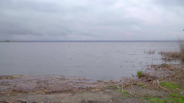 曇りの日に 夕方の大きな湖の岸 — ストック動画