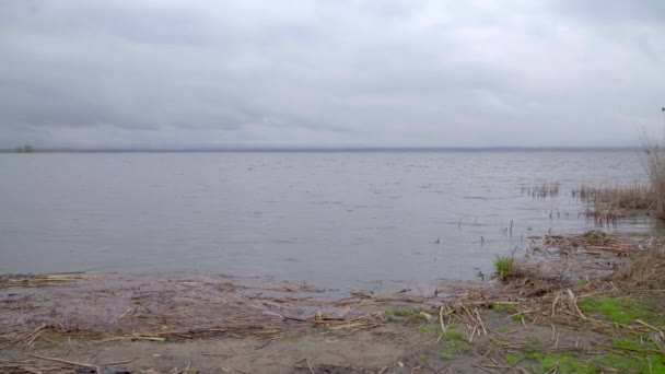 Берег Великого Озера Ввечері Похмуру Погоду — стокове відео