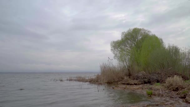 Costa Grande Lago Noite Tempo Nublado — Vídeo de Stock