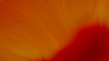 Soyut renk hareket arkaplanı kapat