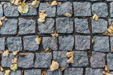 Üzerinde sonbahar yaprakları olan taş levhalar.