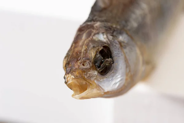 Peixes Secos Rio Vobla Close Sobre Fundo Branco — Fotografia de Stock