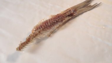 Kurumuş nehir balığı Vobla, yakın plan, siyah arka planda.