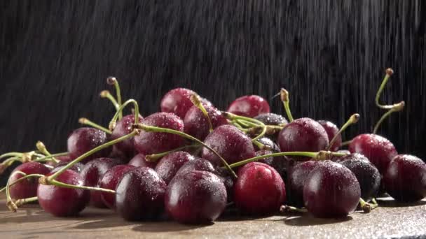 Fresh Ripe Sweet Cherry Water Drops Close — Stock Video