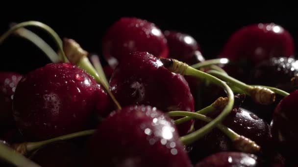 Cereza Dulce Fresca Madura Con Gotas Agua Cerca — Vídeo de stock