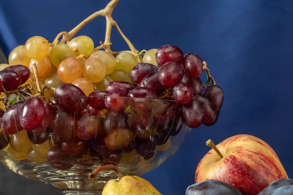Bodegón Con Fruta Una Botella Vino Manzanas Peras Ciruelas Uvas — Foto de Stock