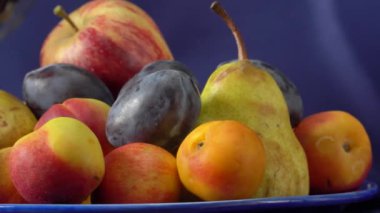 Meyve ve bir şişe şarapla sakin bir hayat. Elmalar, armutlar, erikler, üzümler ve nektarinler.