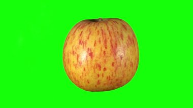 Kırmızı-sarı elma, kırmızı-sarı elmayı yeşil arka planda döndürür. Tecrit. Yeşil arka planda. İzole et.