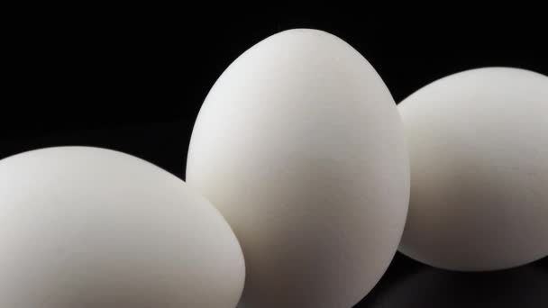 Vit kyckling ägg närbild på svart bakgrund — Stockvideo